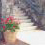stone steps